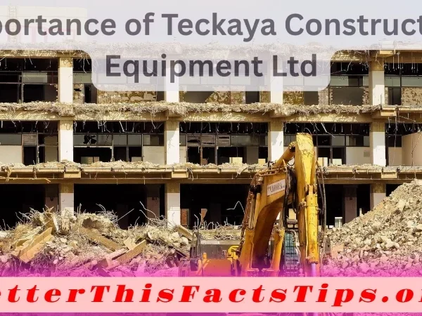 Importance of Teckaya Construction Equipment Ltd