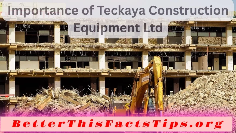 Importance of Teckaya Construction Equipment Ltd
